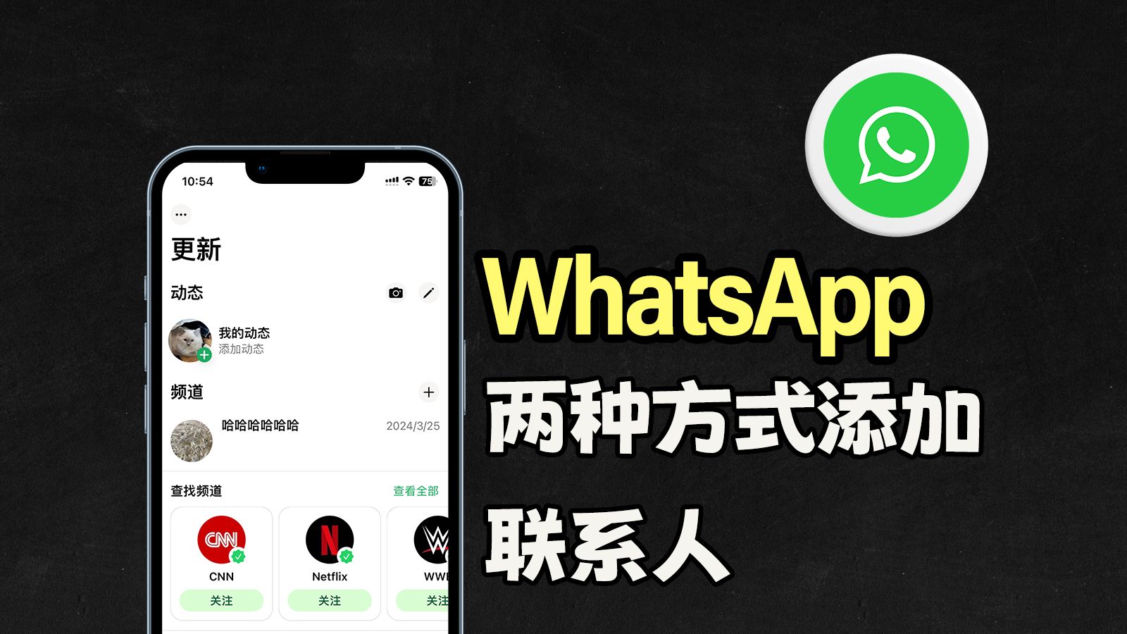 whatsapp公开群组 whatsapp公开群组