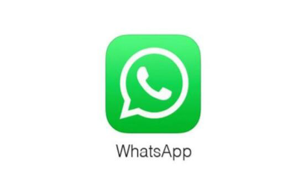 whatsapp链接不上网络